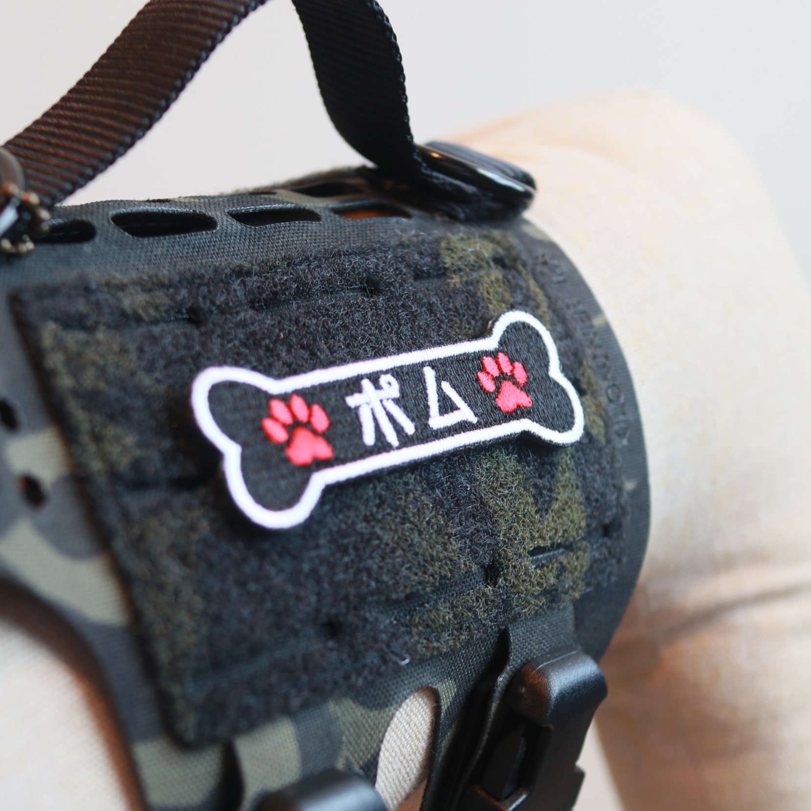 Dog harness